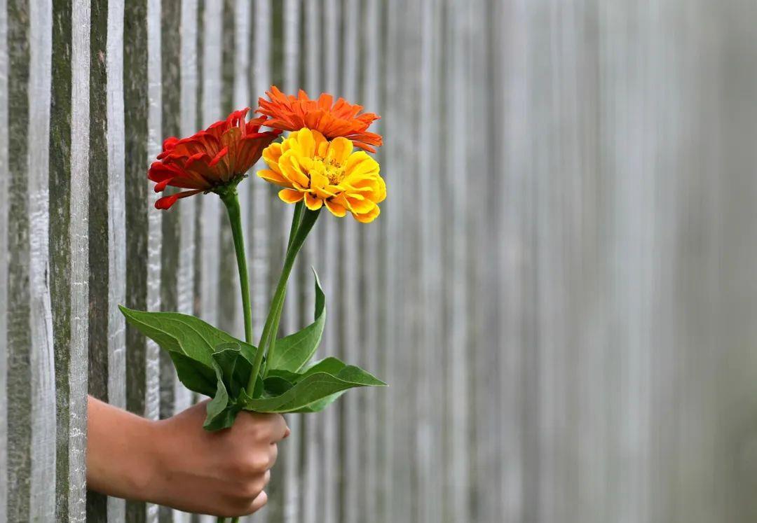 心动不如行动赶快动起来,心动不如行动教你一招