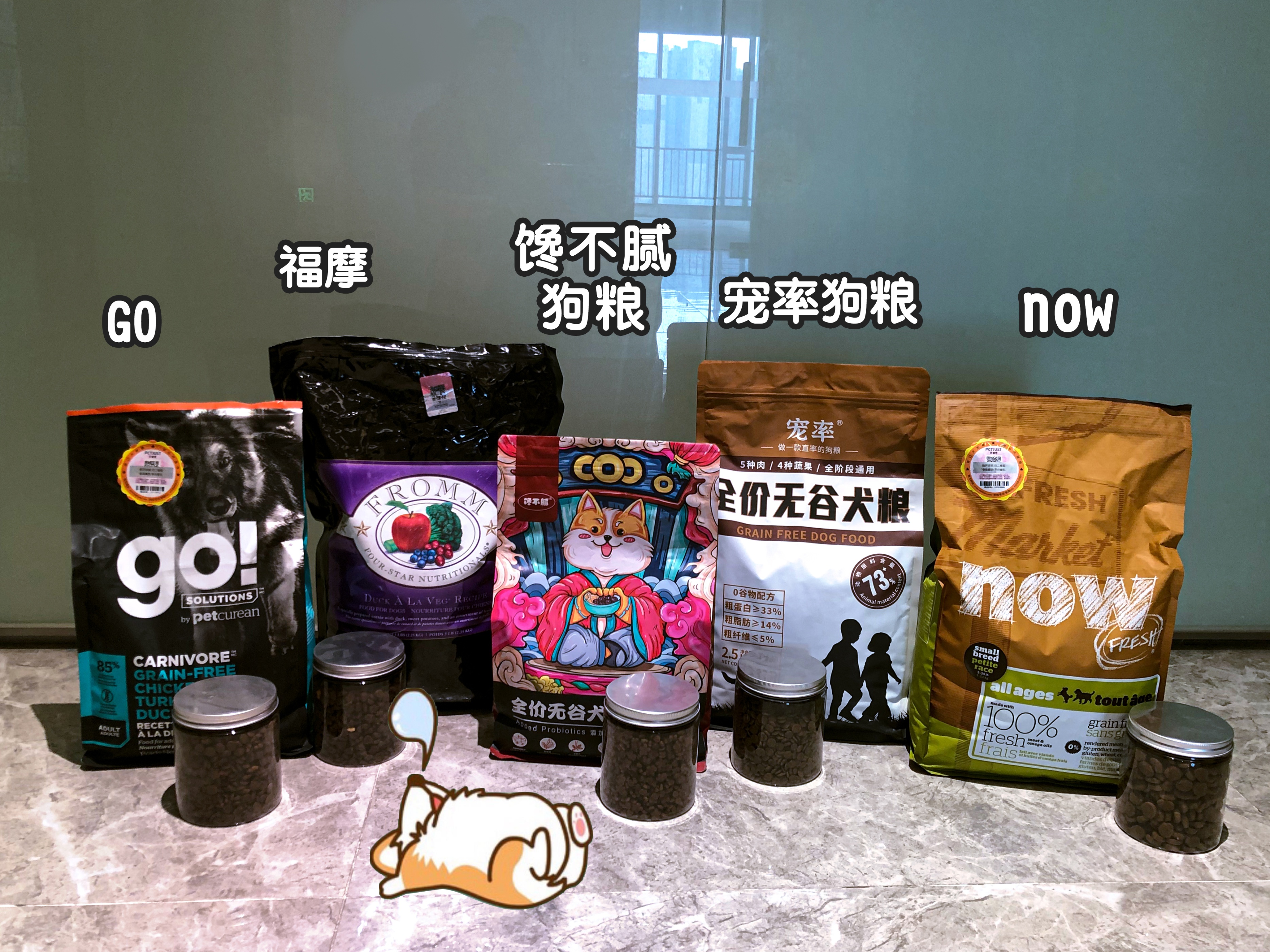 养狗过来人的技巧,养狗新手入门必知拉布拉多