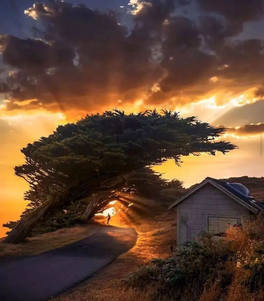 学习优秀摄影作品,摄影教学作品欣赏