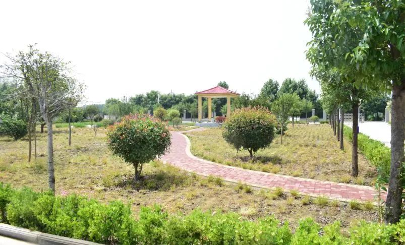 长葛市四中改造计划,长葛2017十大民生工程