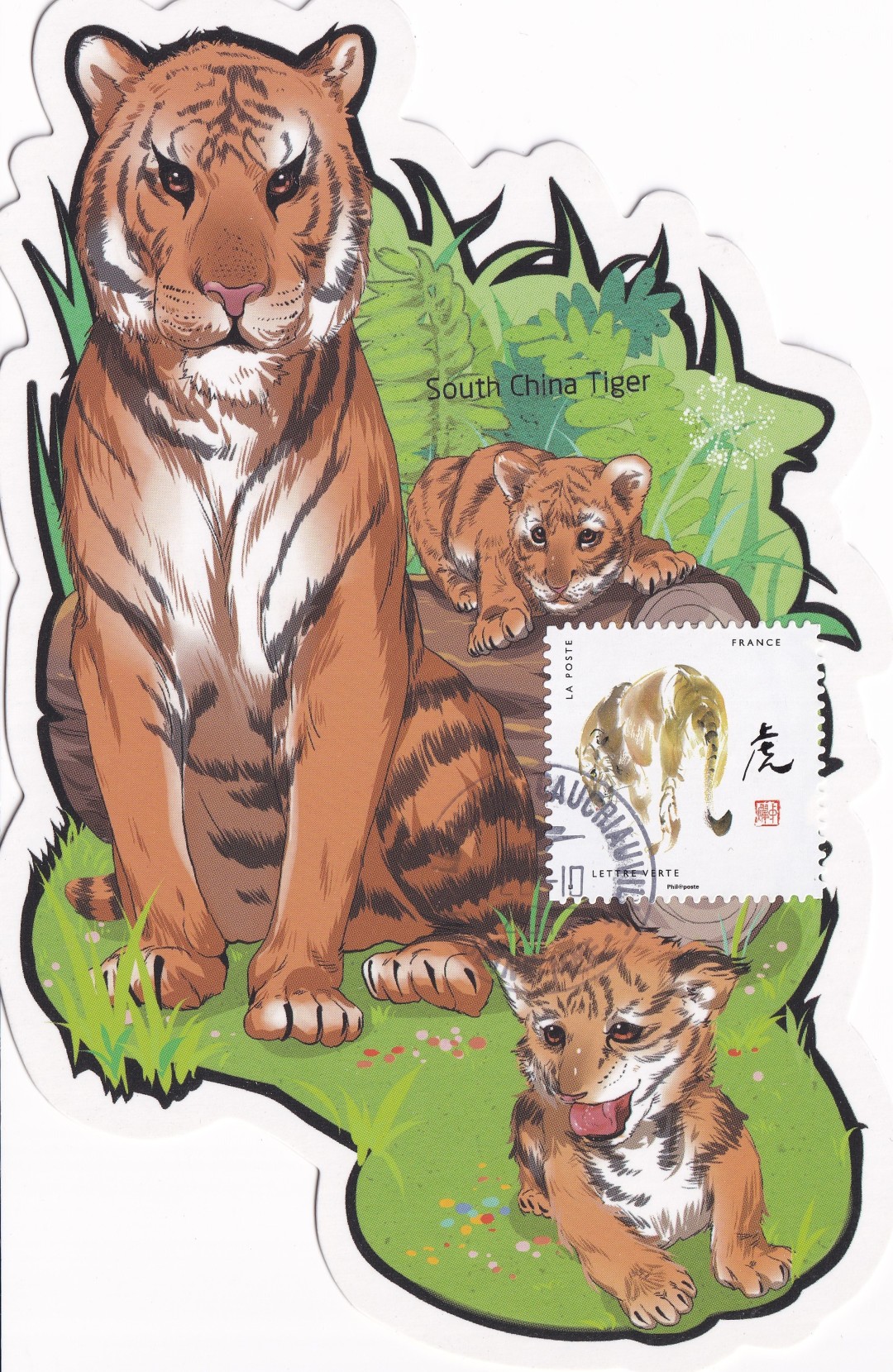 壬寅年虎首银章,壬寅年生肖虎每月运势详解