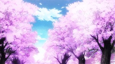 美文悦读心似莲开清风自来,美文阅读愿光阴含笑岁月静好