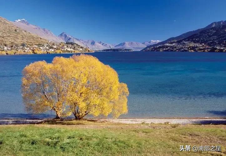 足协选择新西兰是很有针对性的:因为新西兰也没有主教练