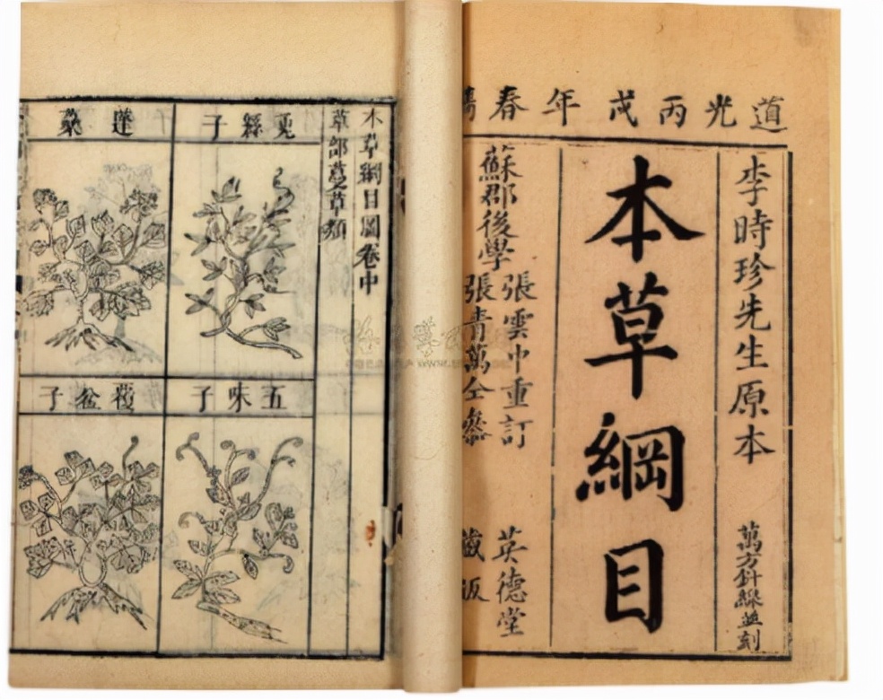 蛊到底是什么东西为什么到处害人,蛊的说法真的吗