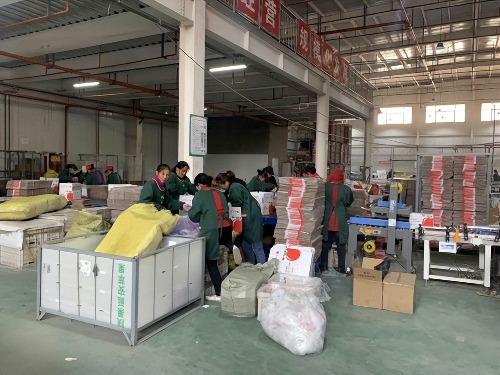 洛川苹果助力脱贫,洛川苹果正在热销中