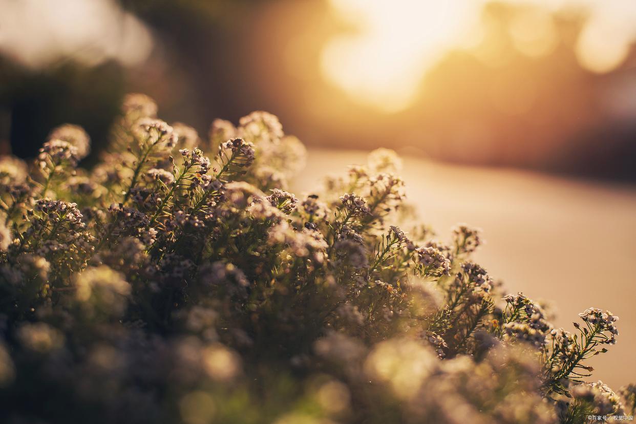 这个星座的“爱”，我竟无法描述！