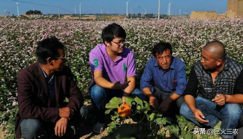 未来农民挣钱的4大职业,2018农村这6种职业轻松月入过万