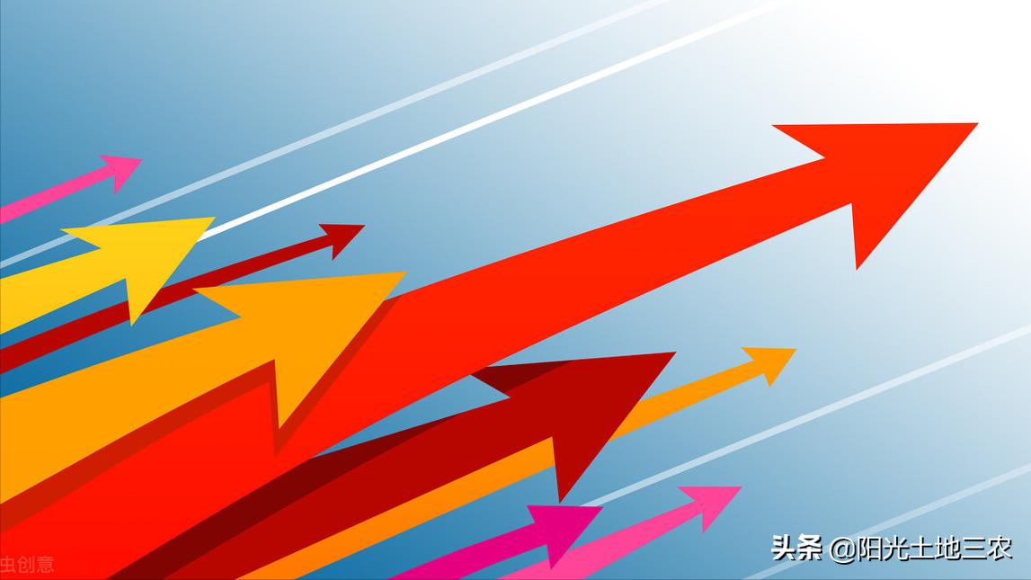 关于2022年乡村振兴的优惠政策,桂东县2022年乡村振兴项目