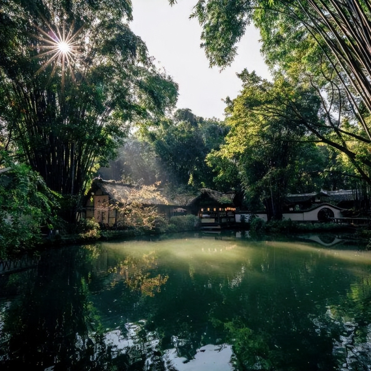 微生物菌群最新研究进展,一号菌群科研新成果