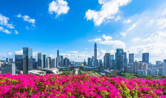 深圳莲花山花展,深圳莲花山公园