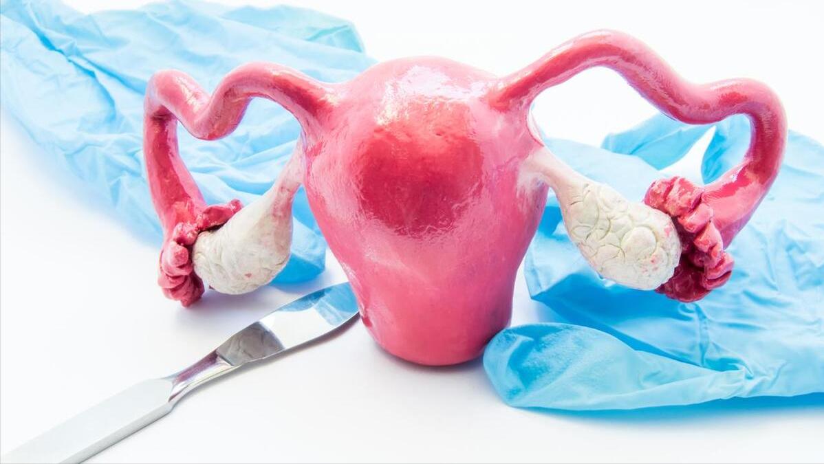 女性阴道究竟有何作用?没有阴道,还能过夫妻生活吗？答案让人意外