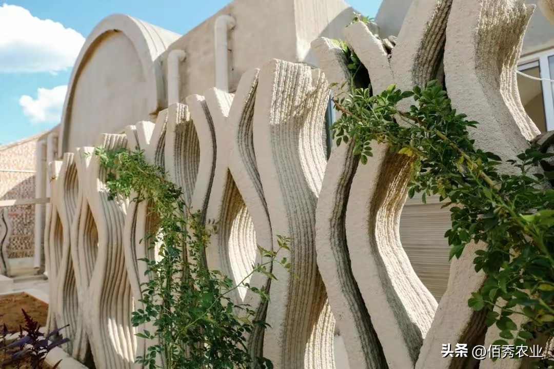 中国有望打印3d房屋吗,3d房屋打印最新消息