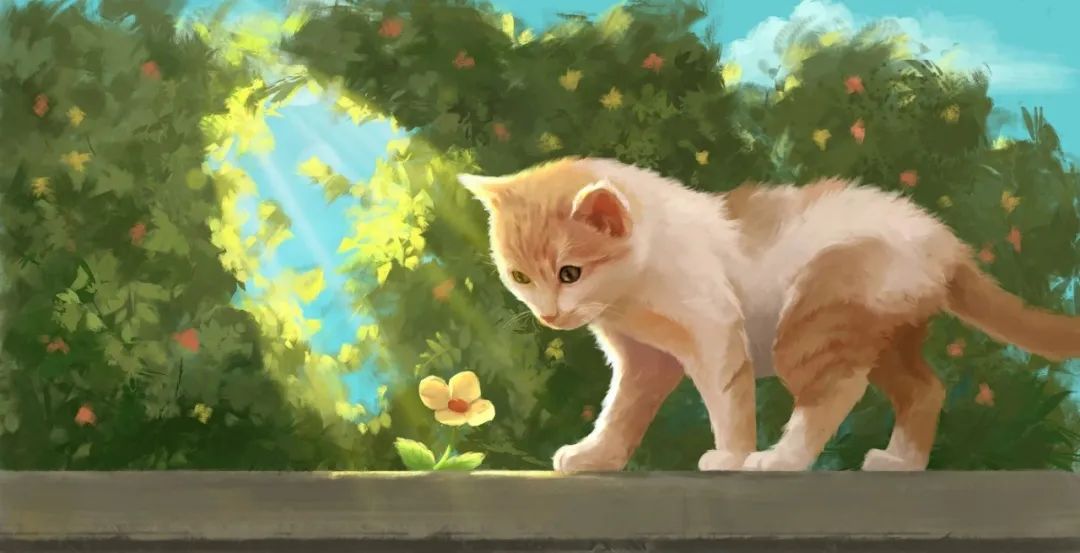 改变自己的形象变优秀的个性签名,10个独特而令人惊艳的个性签名