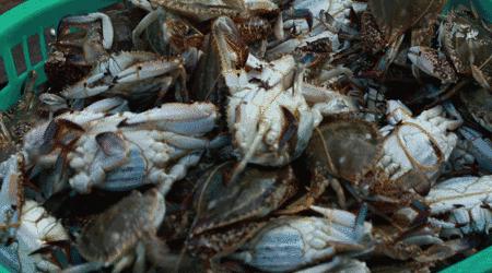 浙江十大公路自驾,浙江神仙居自驾游2-3天推荐