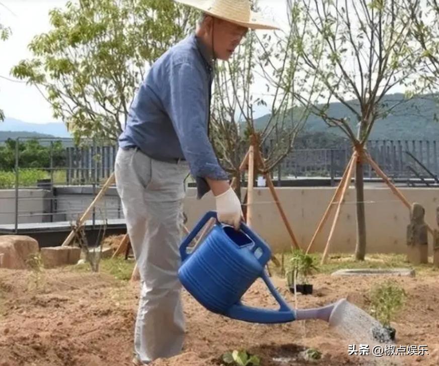 文在寅卸任后有哪些待遇,文在寅卸任后到底想做什么