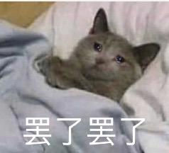 逛完上海这些超市，后悔没带行李箱来了！