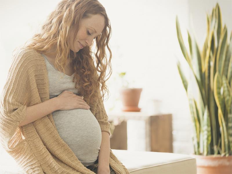 胎儿是在受孕的瞬间决定的,胎儿性别是哪一刻决定的