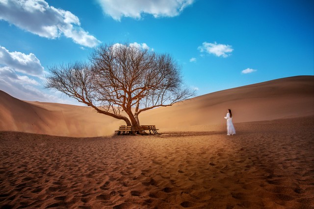 别人为什么说我是siri,别人为什么说你傻子