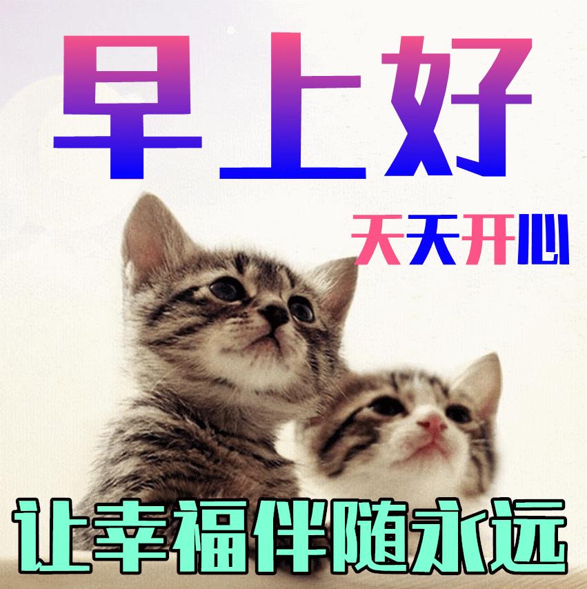 最新早上好动态表情图大全,最新健康快乐早上好表情包动态图