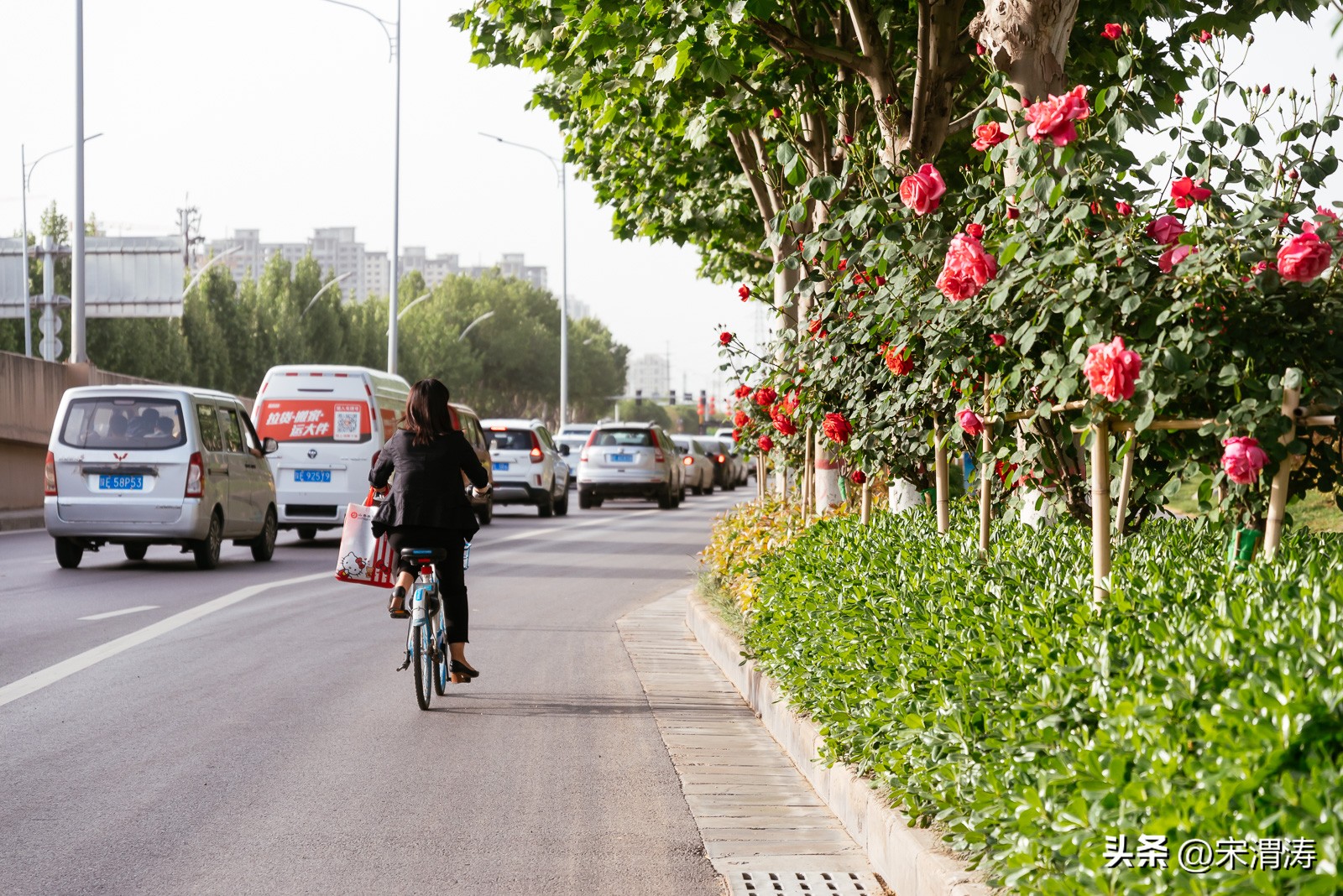 宋姓起源,山西洪洞宋姓起源