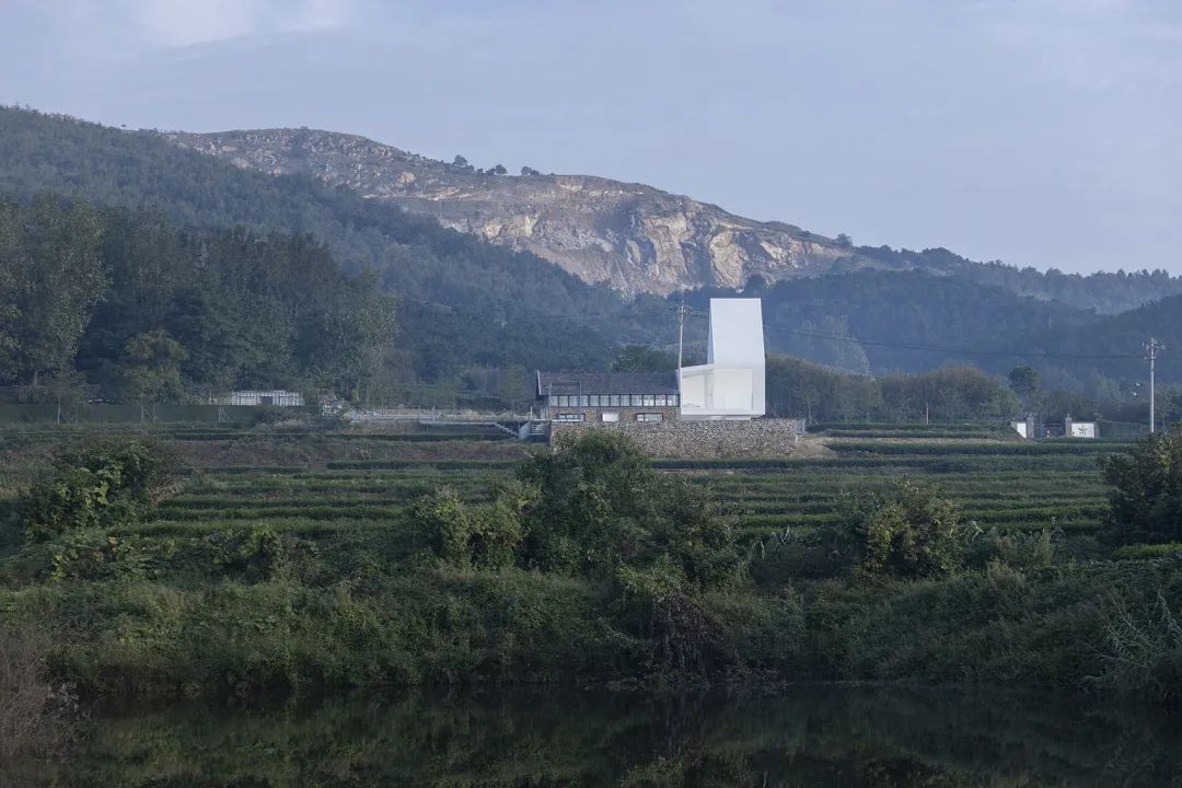 中国茶申遗成功吗,中国茶申遗成功44项名单