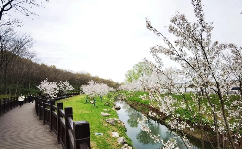 南京栖霞区免费游玩景点推荐,南京一百个免费景点