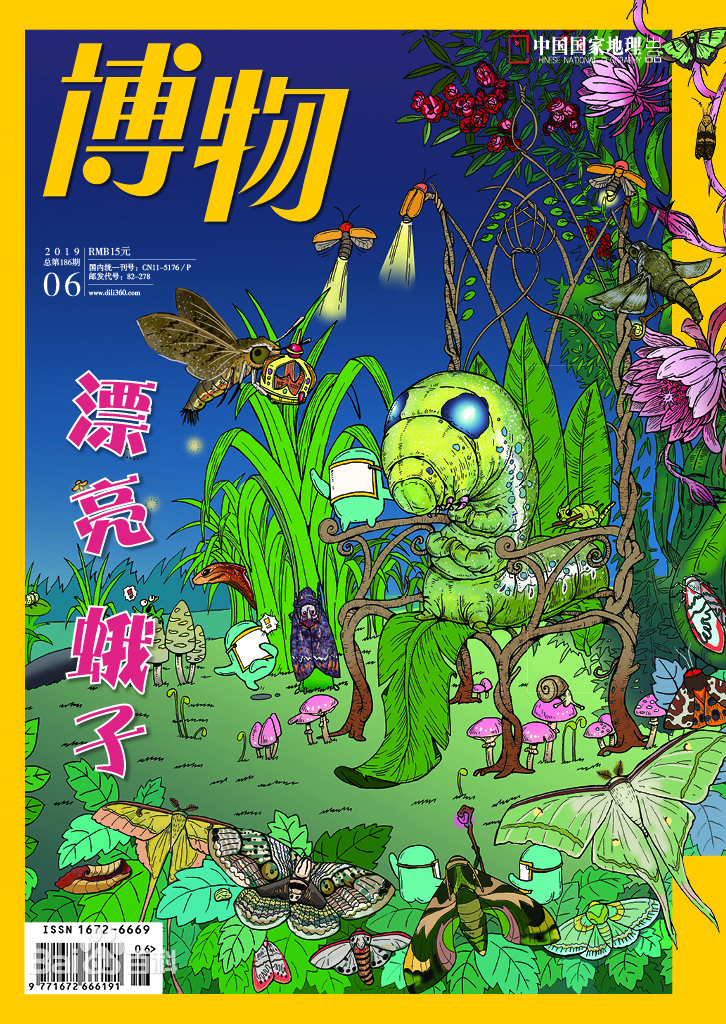 提高孩子写作的小技巧,提升小学生作文水平哪本杂志好