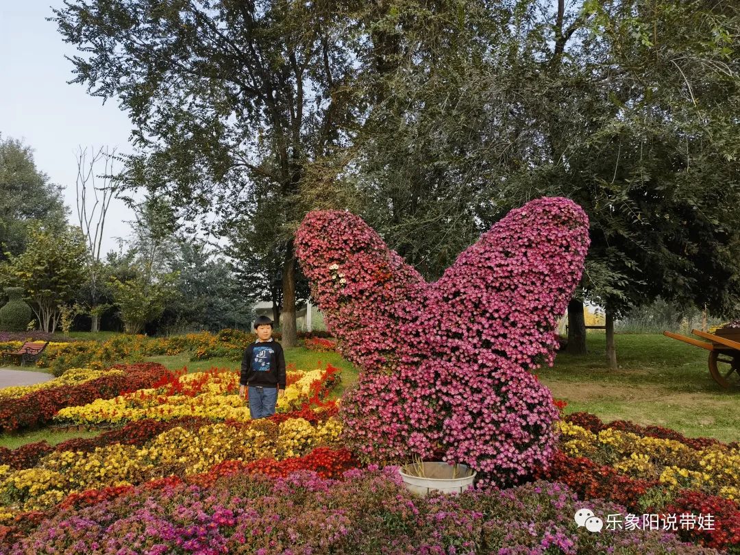 时间都去哪儿了小品完整版,时间都去哪儿了感悟