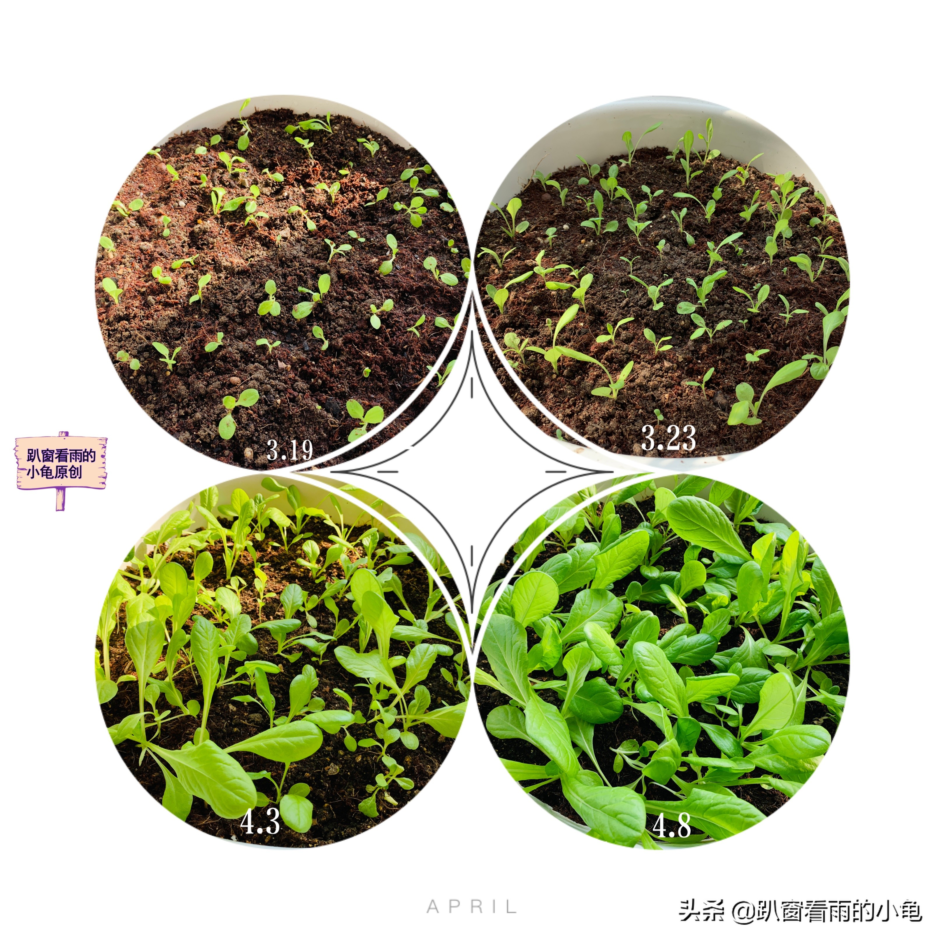 家有余粮，遇事不慌！收好10种生活必要的物资，这3件事也做起来