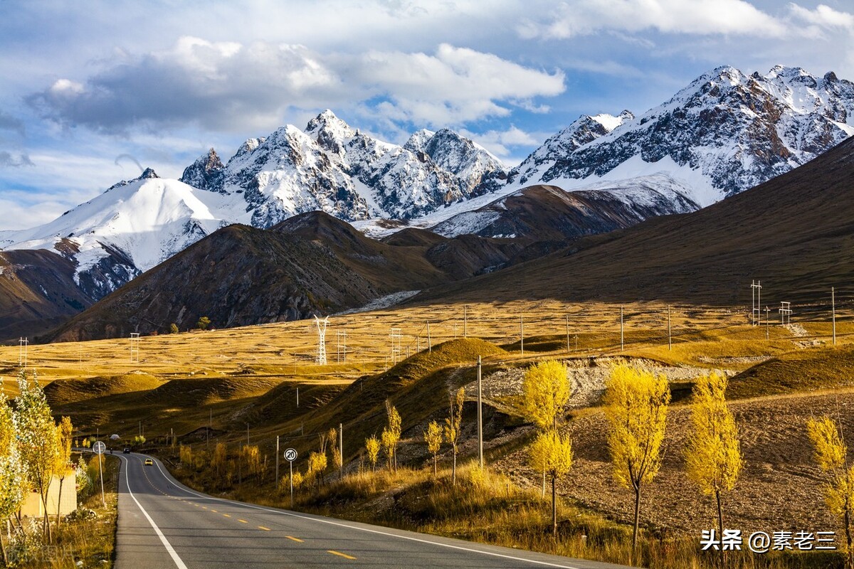 女作家去做保姆446,女作家去做保姆825