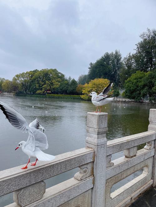 云南旅游6天5晚团双人1680,云南旅游6天5晚在当地报团