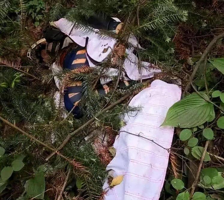 天门山翼装飞行女孩刘安全部视频,天门山翼装飞行女孩刘安照片曝光