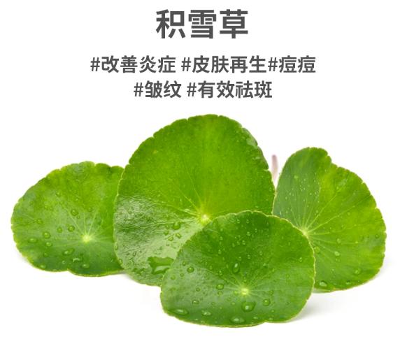 修护保湿面霜新版,韩国chaga面霜