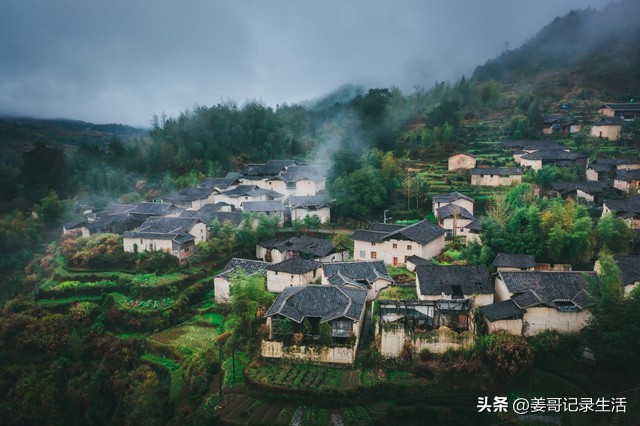 三农问题农业农村农民,三农问题只是具体的农业农村吗