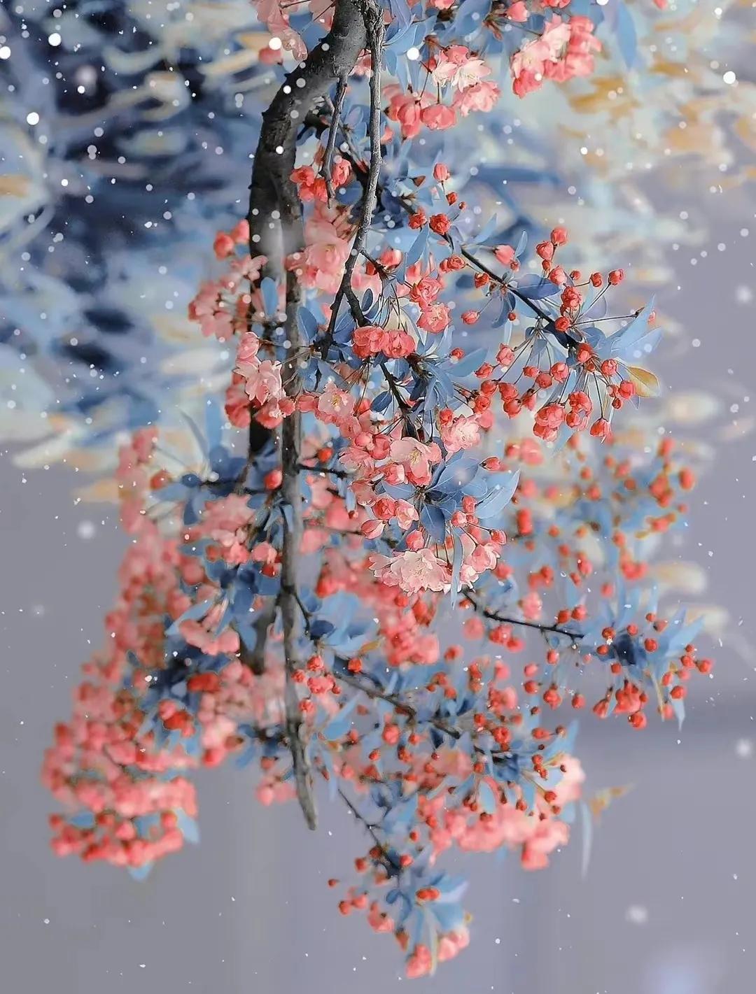 年年岁岁春去秋来,年年岁岁盼新春