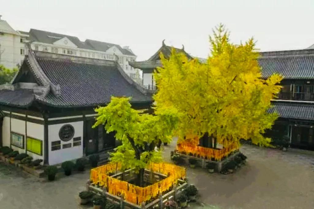 上海真如寺简介,上海真如寺方丈