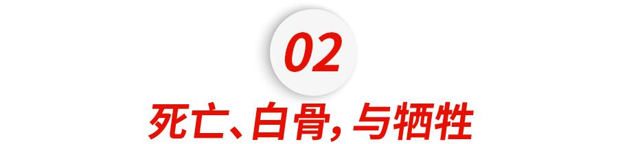 吸毒男得影帝,吸毒明星的复出和缉毒警的关系
