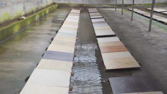 榫欐硥鐭宠洐鍏绘畺鍩哄湴,榫欐硥鐭宠洐