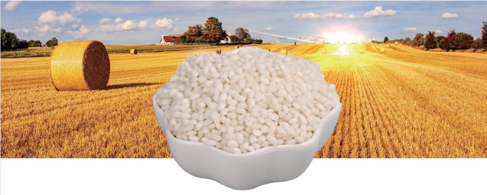 “锦鳞游”布局高端餐饮，打造黄酒价值标杆