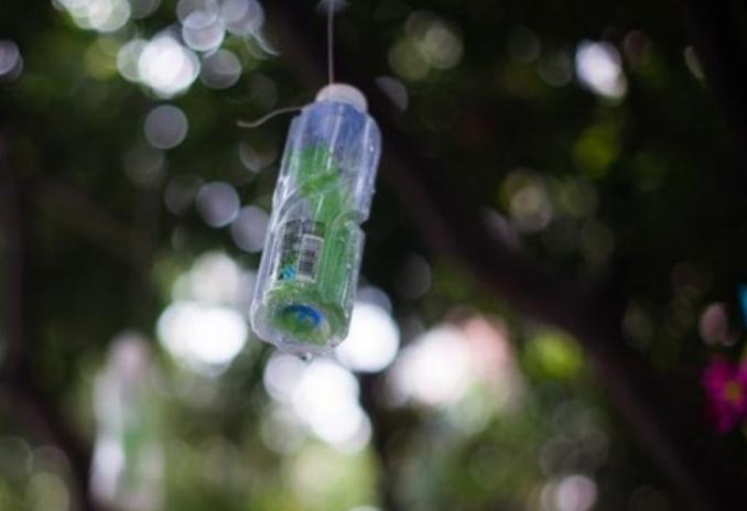 农民大哥智慧高，看他果树上挂瓶子如何实现一箭三雕