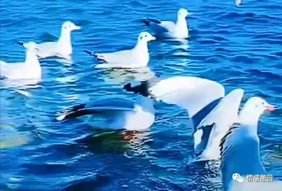 一段路一段情的唯美句子,一段路一段缘