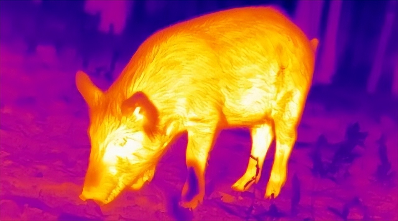 红外线热成像技术测温原理,红外热成像原理介绍