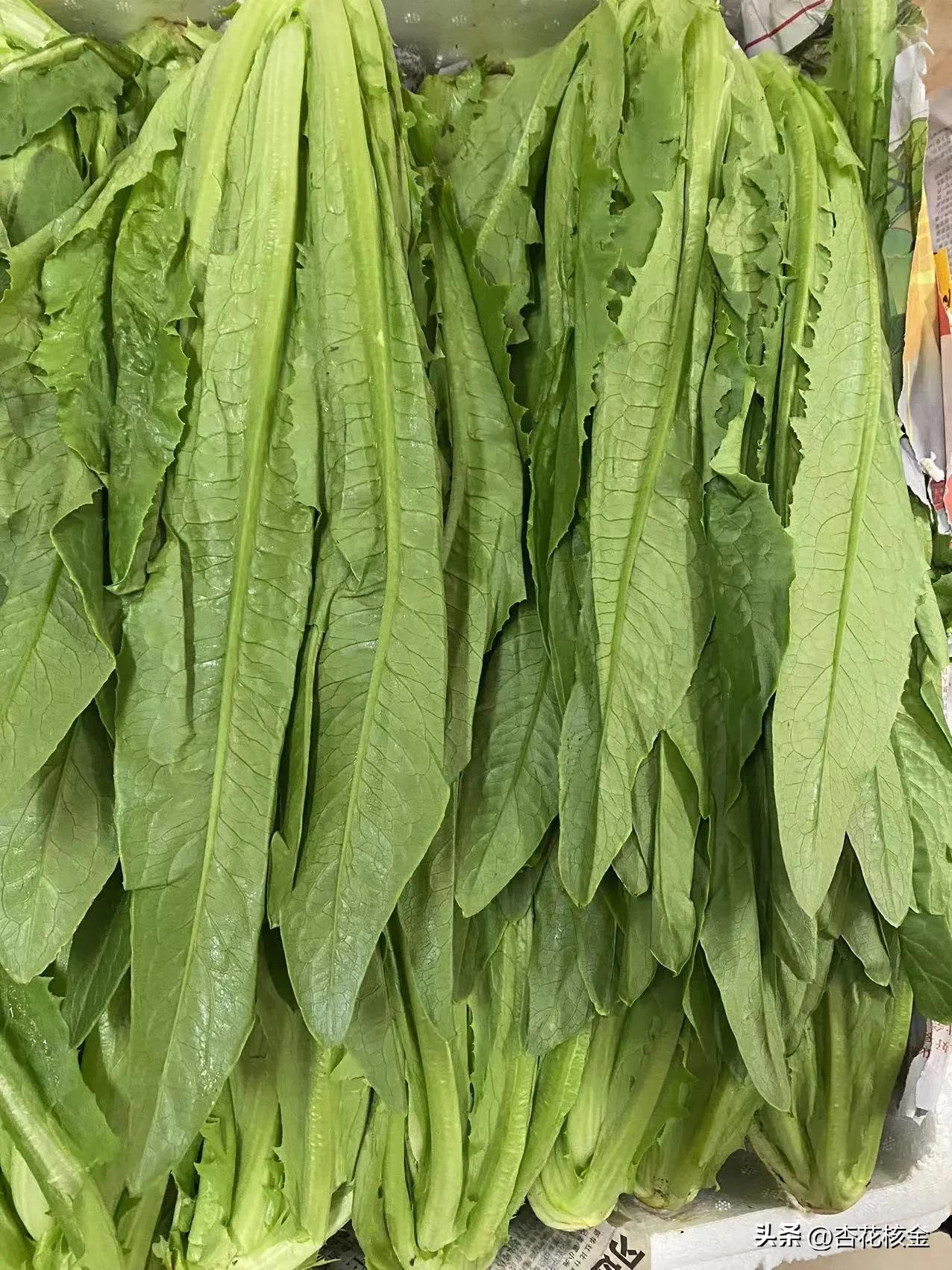 喜从天降！疫情围困中的天邻风景，突然长出9000斤油麦菜