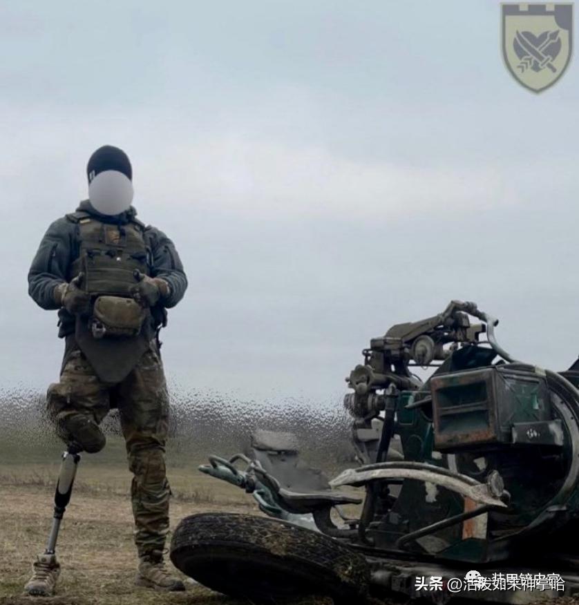 俄乌冲突德国参战最新消息,俄乌战争德国最新消息