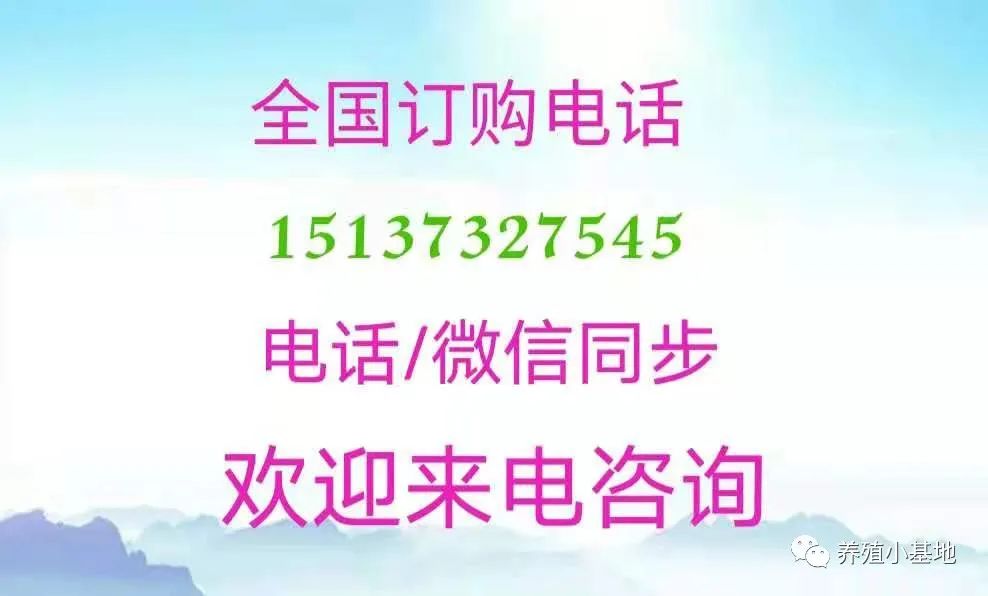 布并速康-专业防控布病、保胎、防控流产