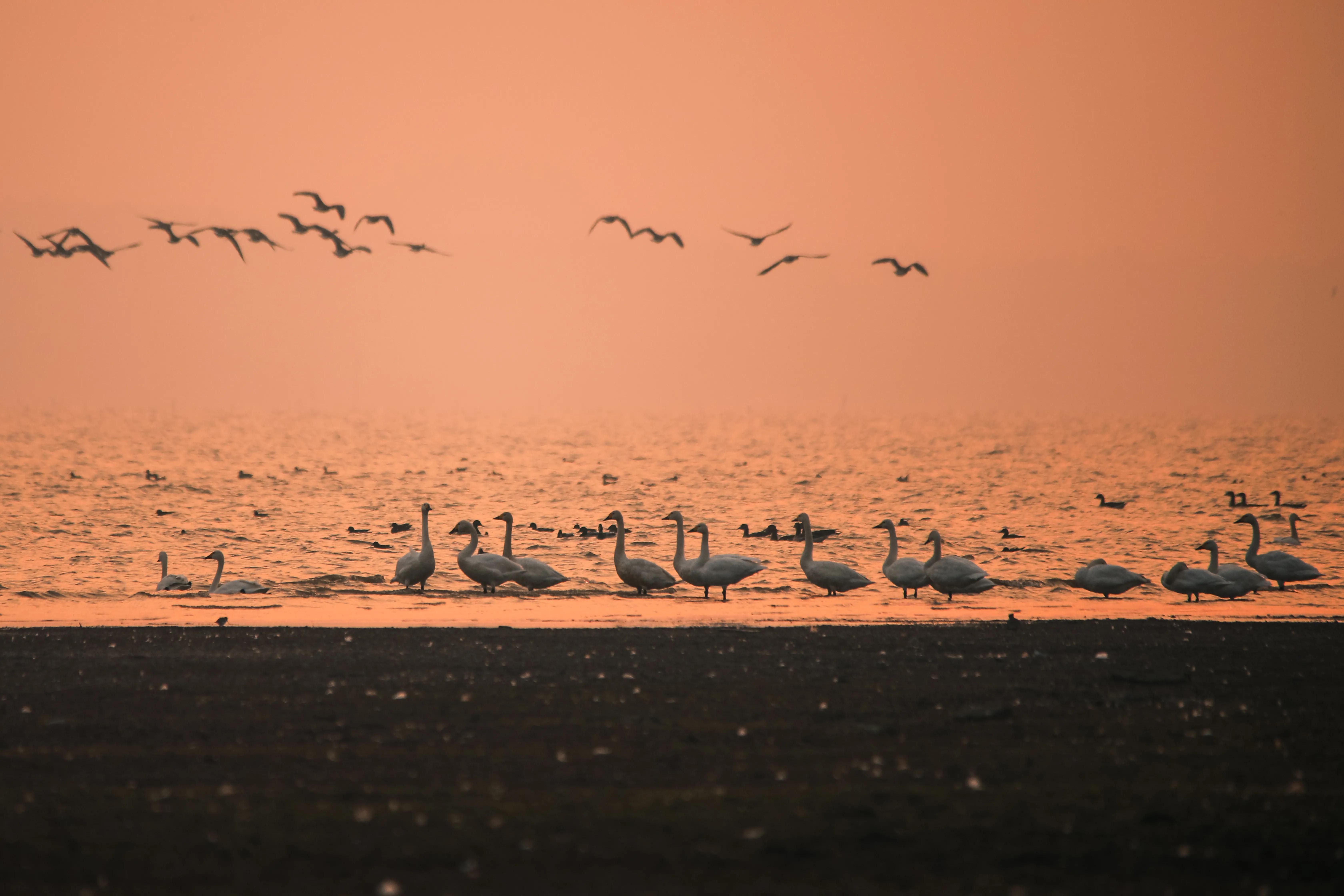 怎么样拍水流,怎么样拍水果抖音视频教程