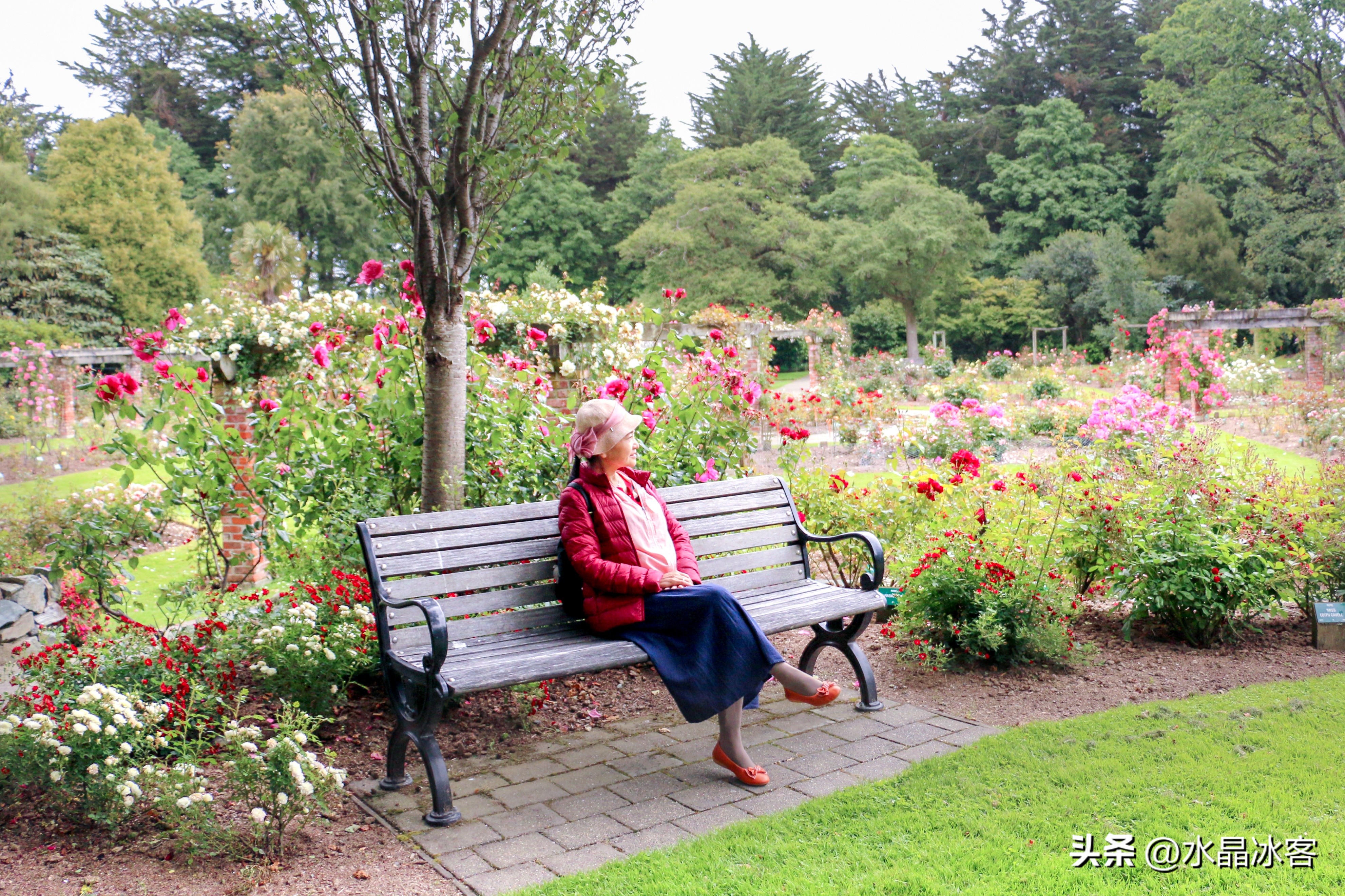 南岛新西兰之旅,新西兰之南岛