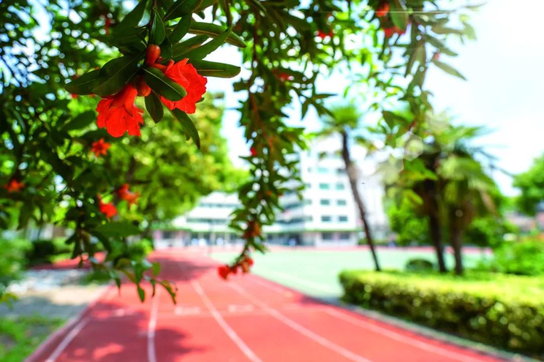 “3+3”！秦淮区初中学校传来喜讯