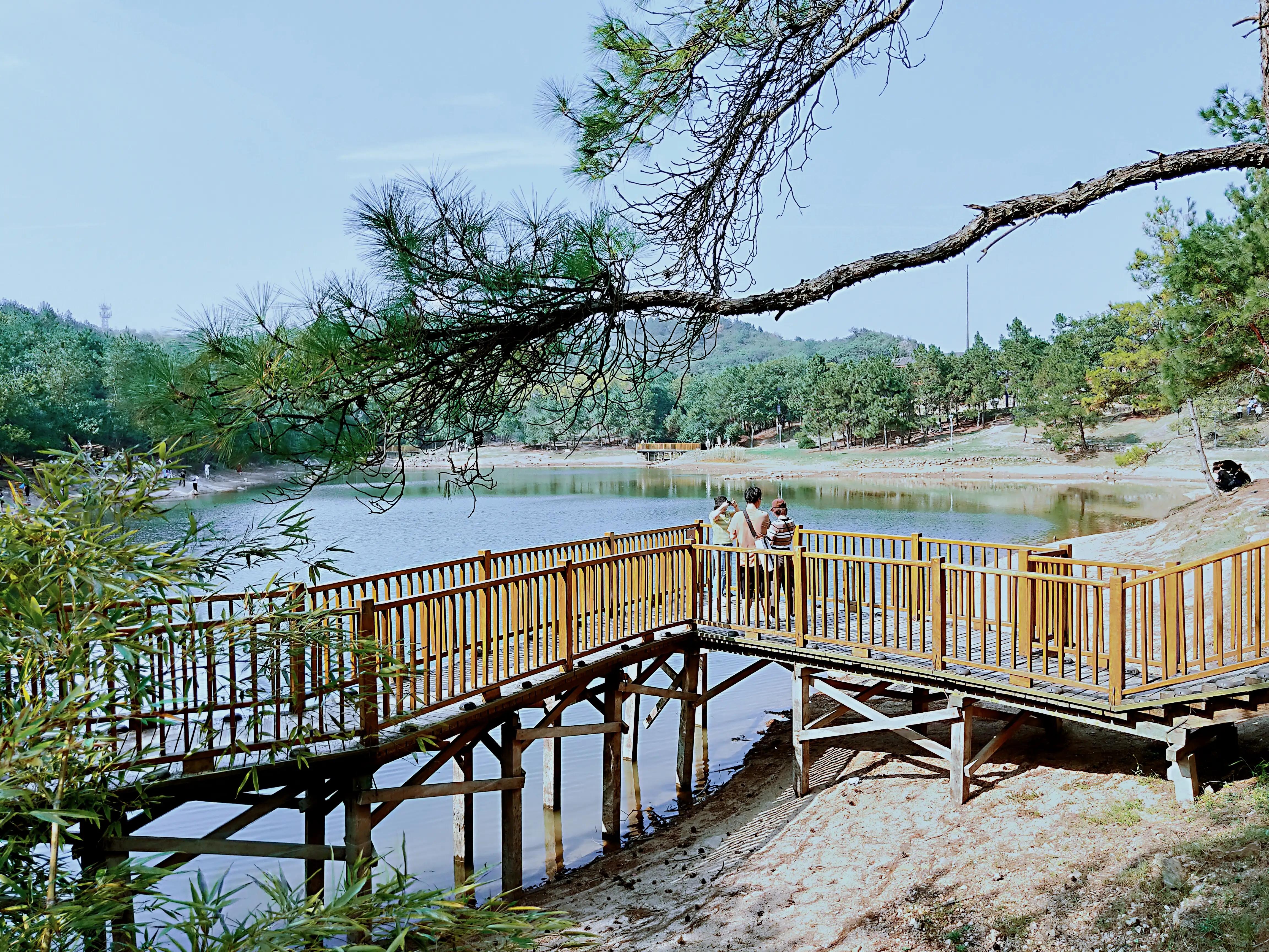 溧水无想山民宿预订,南京溧水无想山露营地点