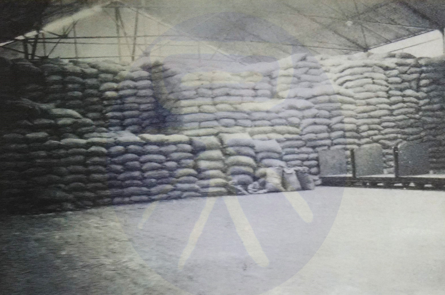 制糖业的历史,赣南制糖厂老照片